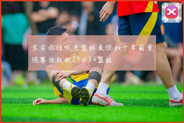 朱芳雨惊叹王哲林表现如十年前重现赛场狂砍29分14篮板